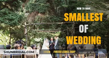 Intimate Celebrations: Crafting the Perfect Smallest Wedding Guide