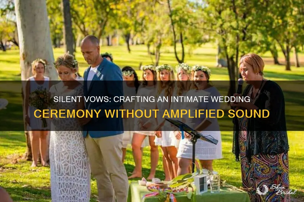 how to have wedding ceremony without amplified sound