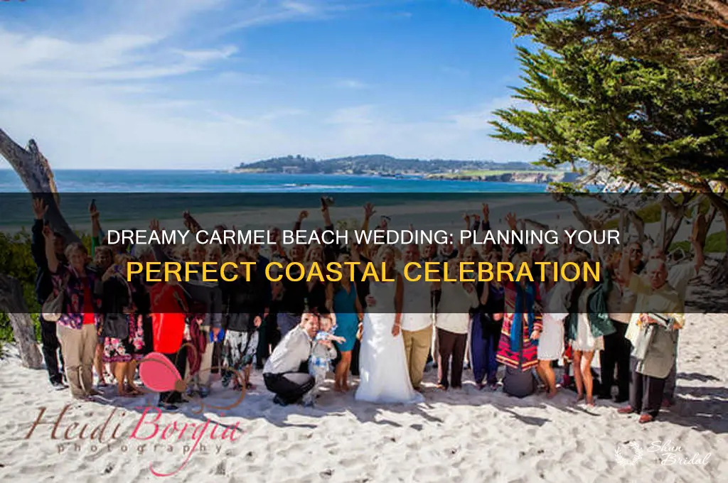 how to have wedding on carmel beach
