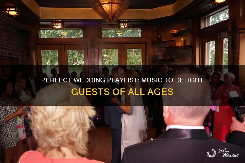 how to have wedding playlist for all ages