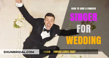 Hire a Famous Singer for Your Wedding: Ultimate Guide