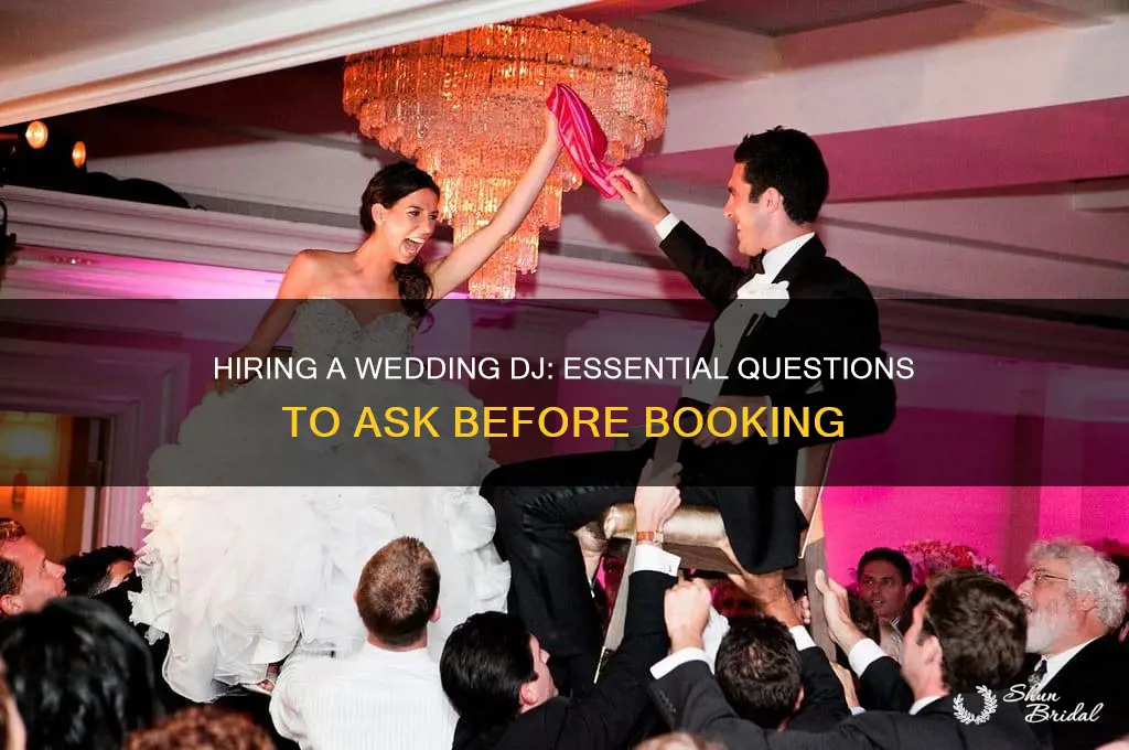 how to hire a wedding dj questions to ask