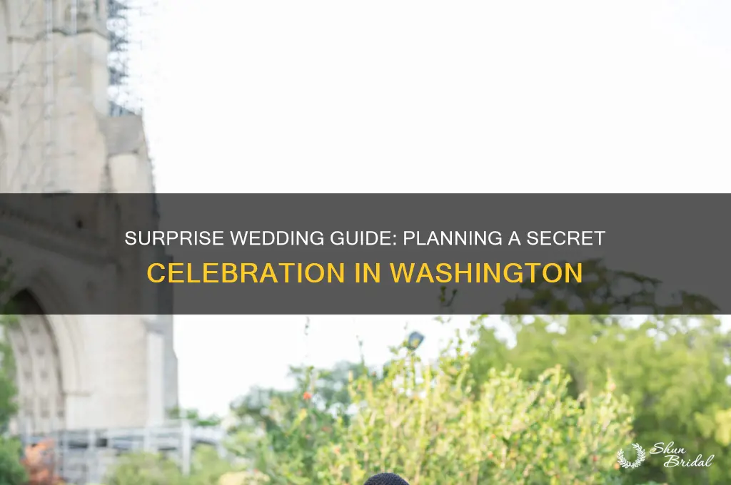 how to hold a surprise wedding in Washington state