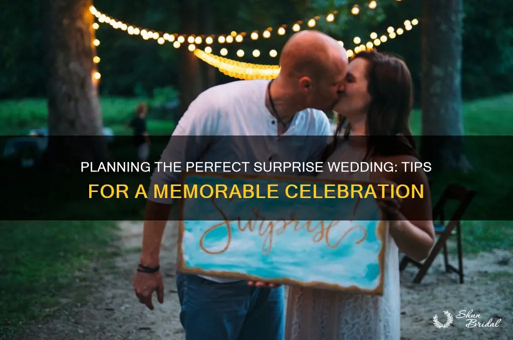 how to hold a surprise wedding