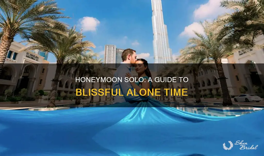 how to honeymoon alone book