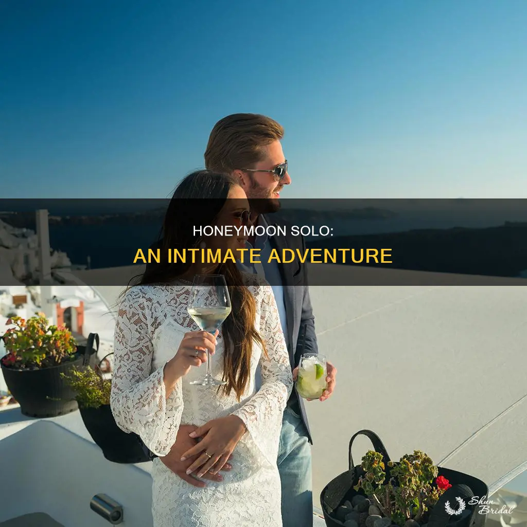 how to honeymoon alone epub
