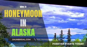 Honeymooning in Alaska: An Adventure of a Lifetime
