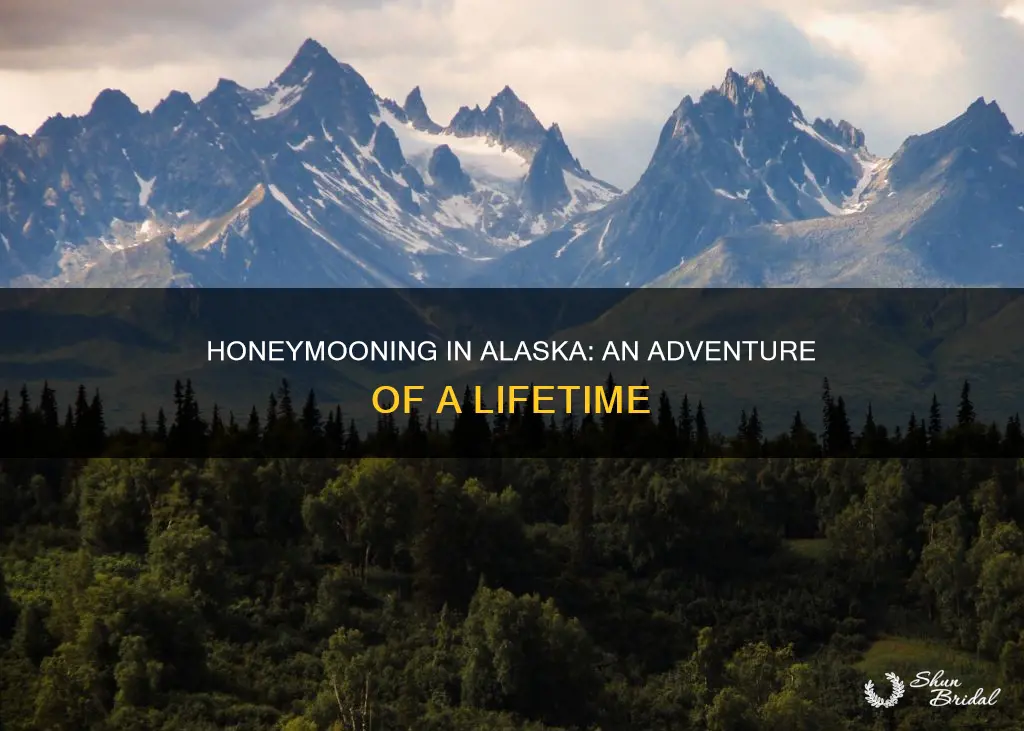 how to honeymoon in alaska