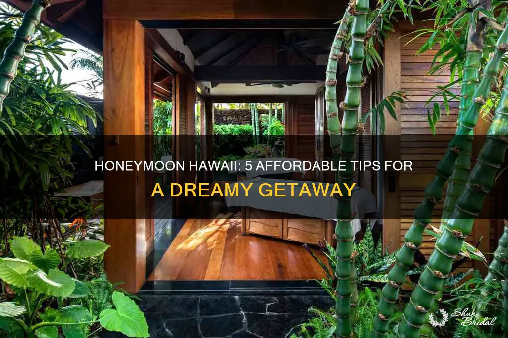 how to honeymoon in hawaii on a budget