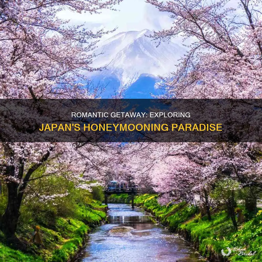 how to honeymoon in japan