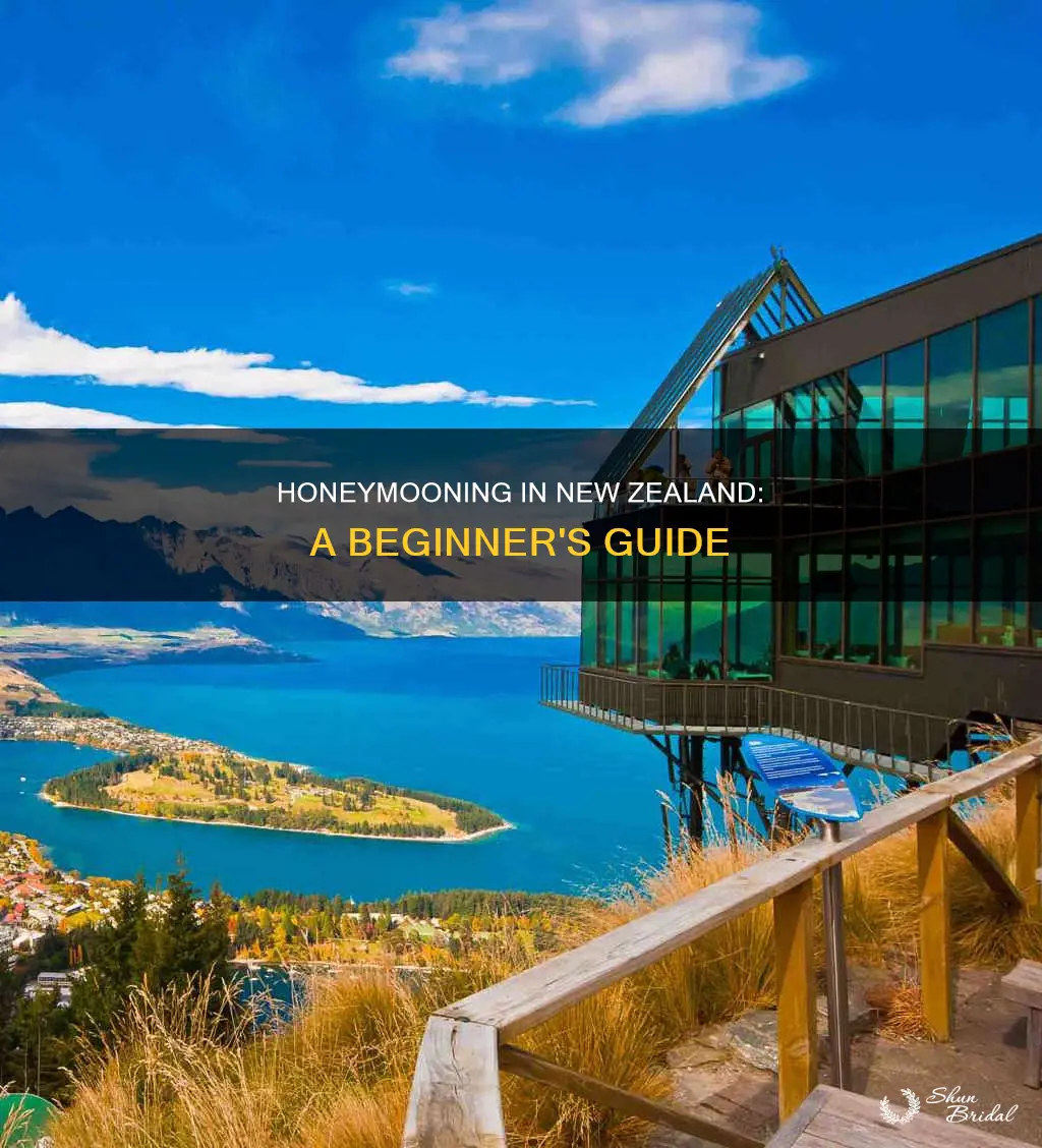 how to honeymoon in new zealand
