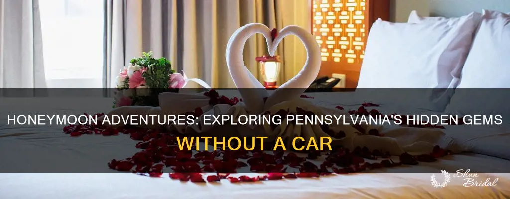 how to honeymoon in paeis qith no car