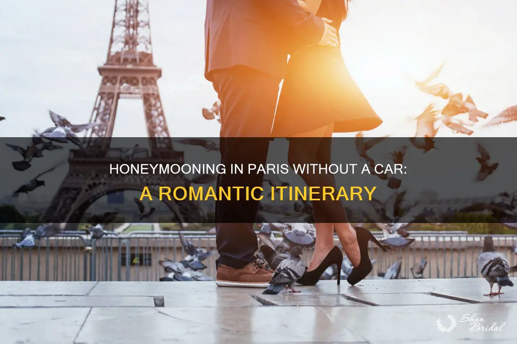 how to honeymoon in paeis qith no car