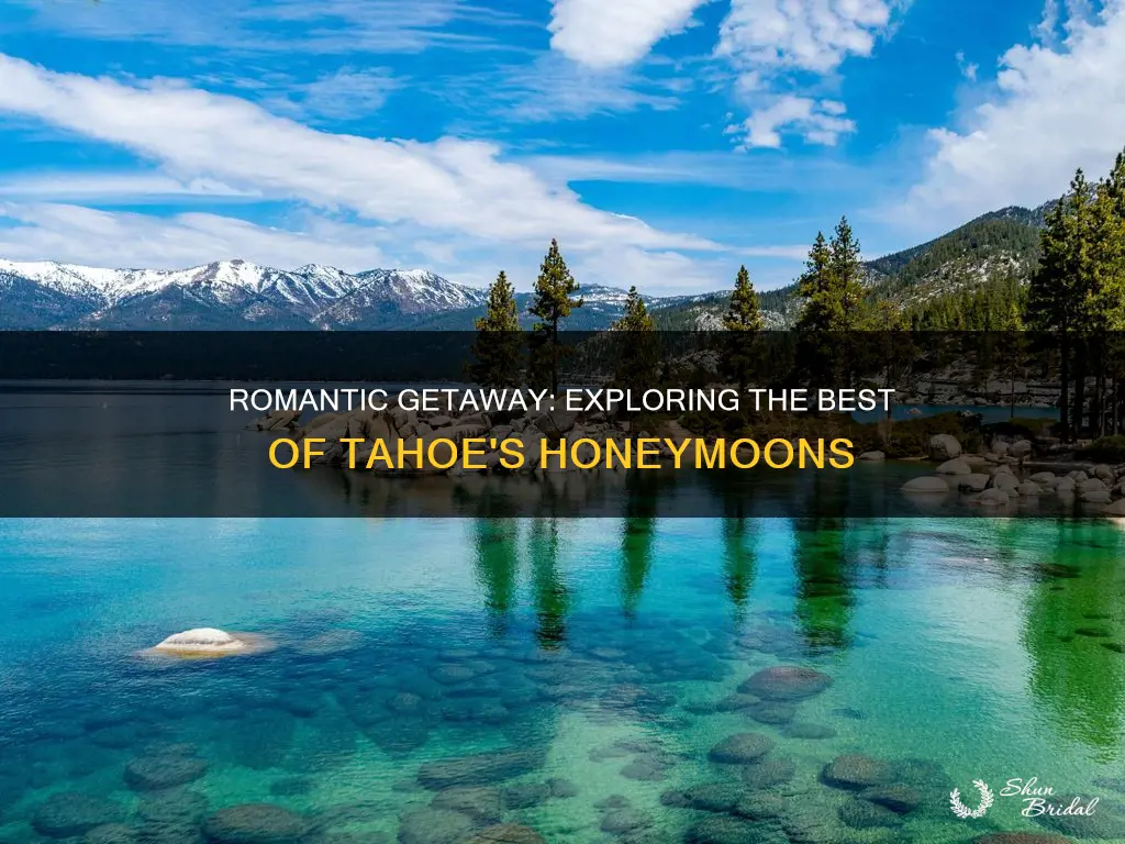 how to honeymoon tahoe