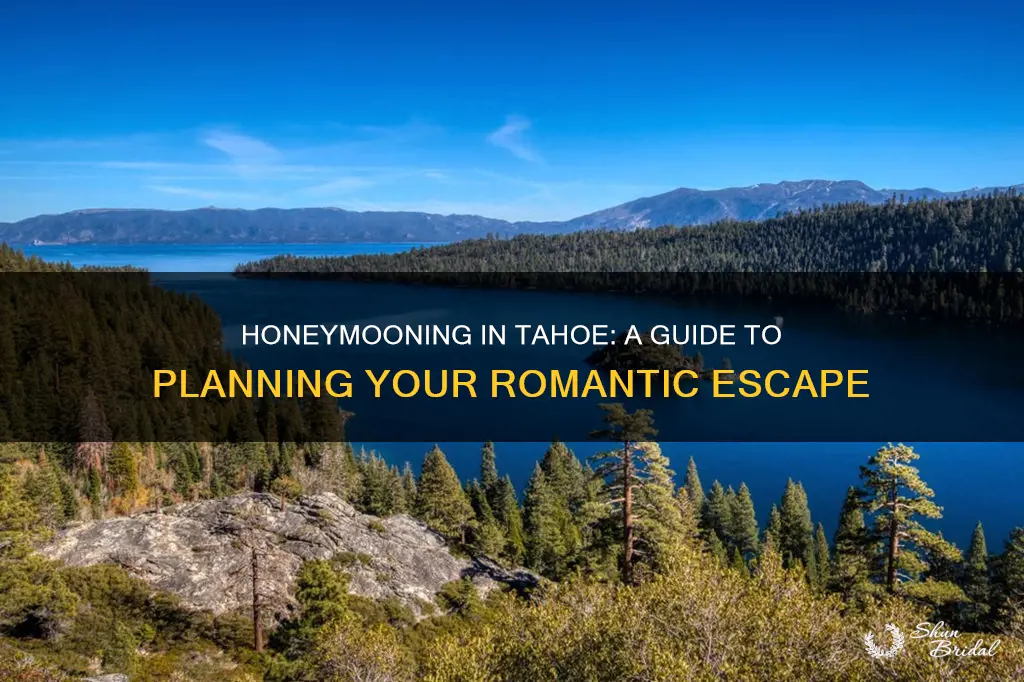 how to honeymoon tahoe