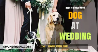 Incorporating Your Furry Best Friend: Creative Ways to Honor Your Dog at Your Wedding