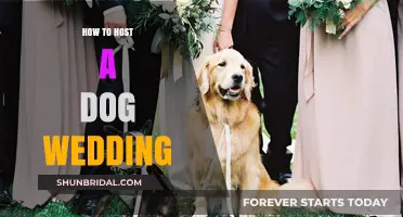 Paw-fect Love: A Step-by-Step Guide to Hosting a Dog Wedding