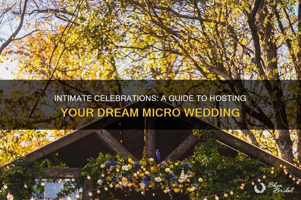 how to host a micro wedding