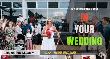 Paws-itively Perfect: Creative Ways to Include Dogs in Your Wedding