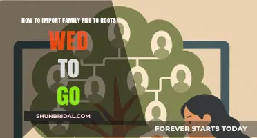 Importing Family Files to RootsWeb: A Step-by-Step Guide