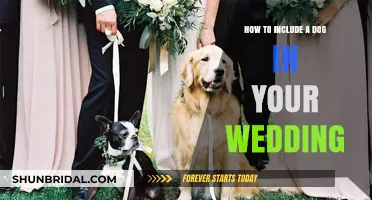 Incorporate Your Furry Friend: Creative Ways to Include Your Dog in Your Wedding