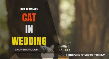 Purr-fectly Included: Creative Ways to Include Your Cat in Your Wedding