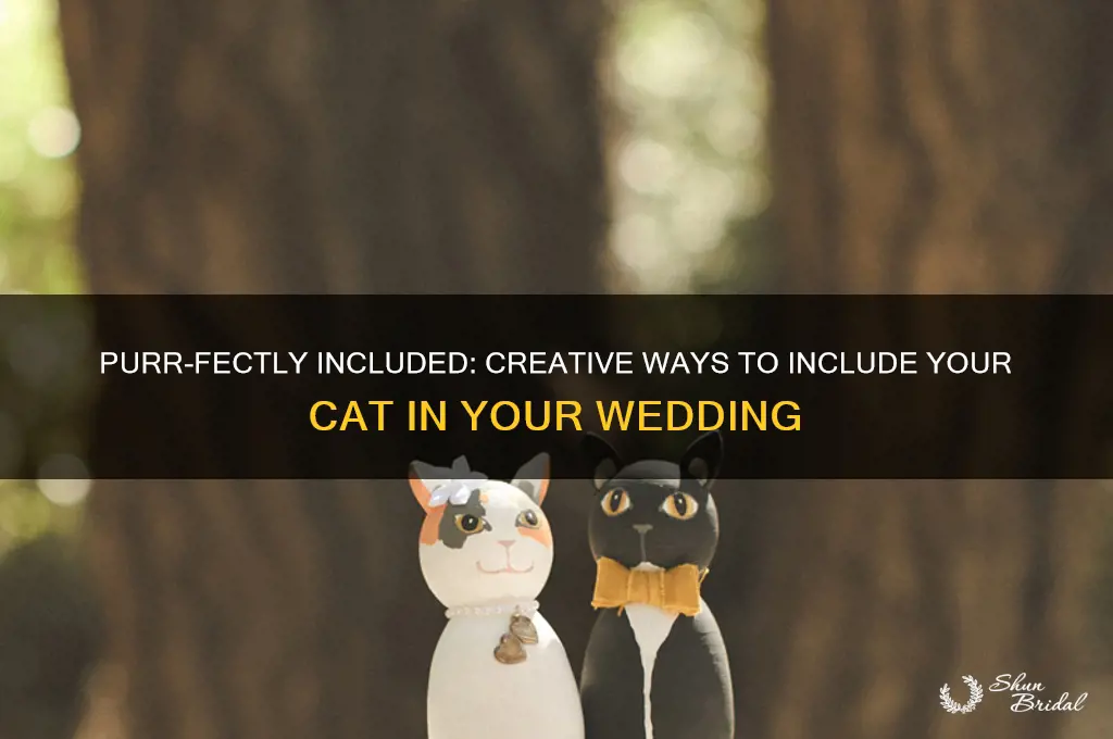 how to include cat in wedding