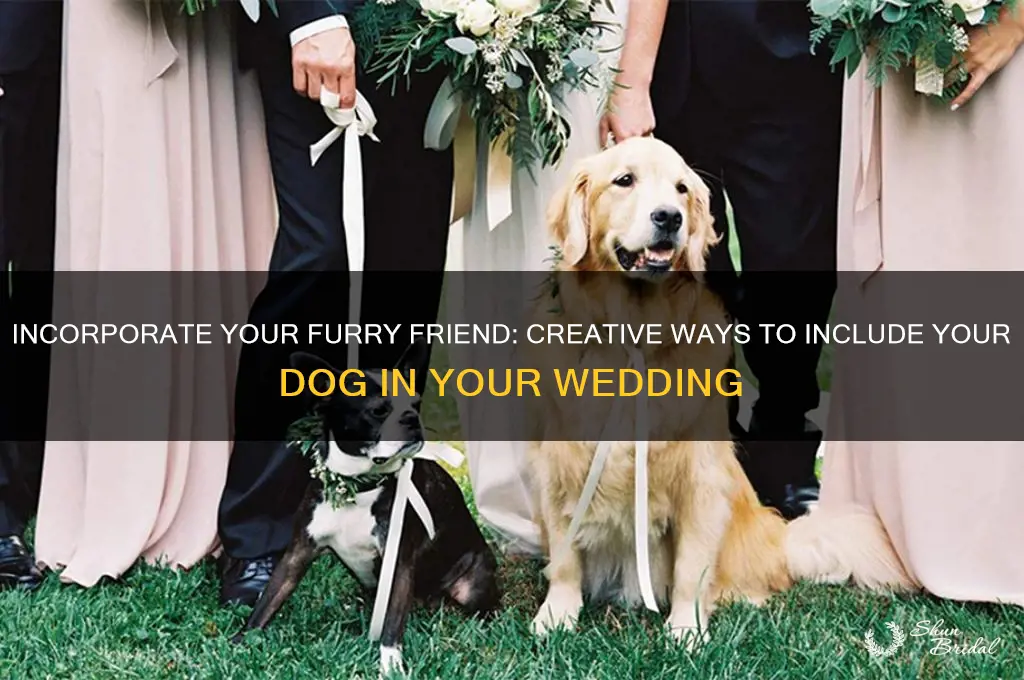 how to include dog in wedding program