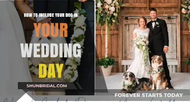 Paws-itively Perfect: Including Your Dog in Your Wedding Day