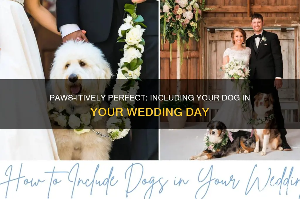 how to include your dog in your wedding day