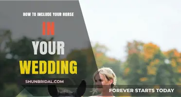 Equestrian Elegance: Including Your Horse in Your Dream Wedding Day