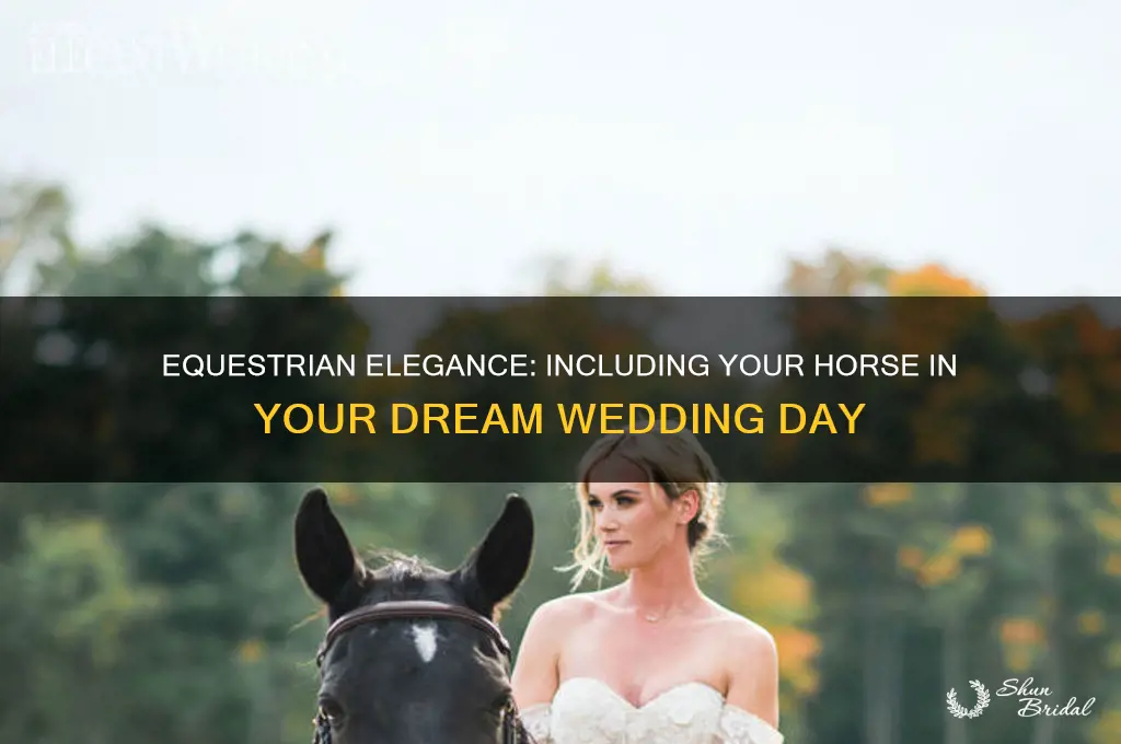 how to include your horse in your wedding