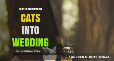 Purrfectly Charming: Creative Ways to Include Cats in Your Wedding