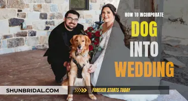 Involving Your Dog in Your Wedding: Creative Ways to Include Them