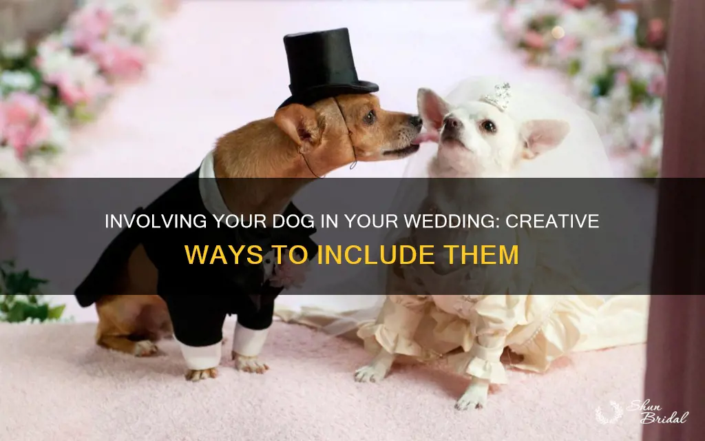how to incorporate dog into wedding