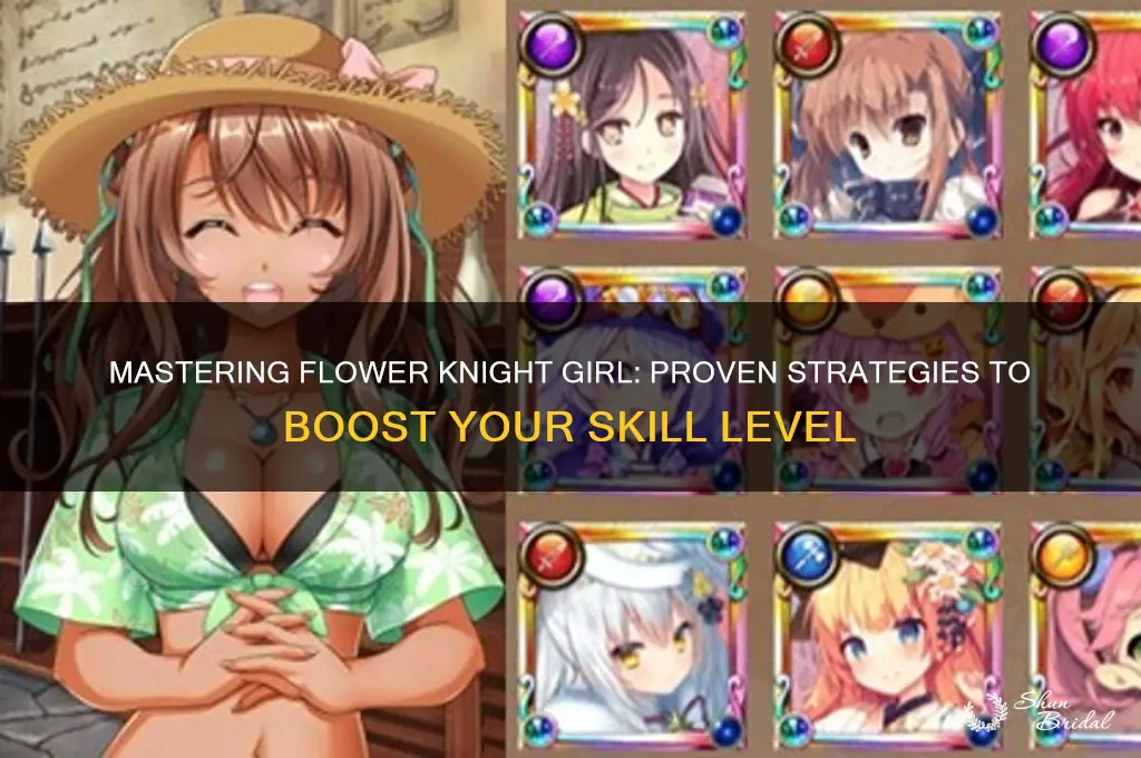 how to increase skill level flower knight girl