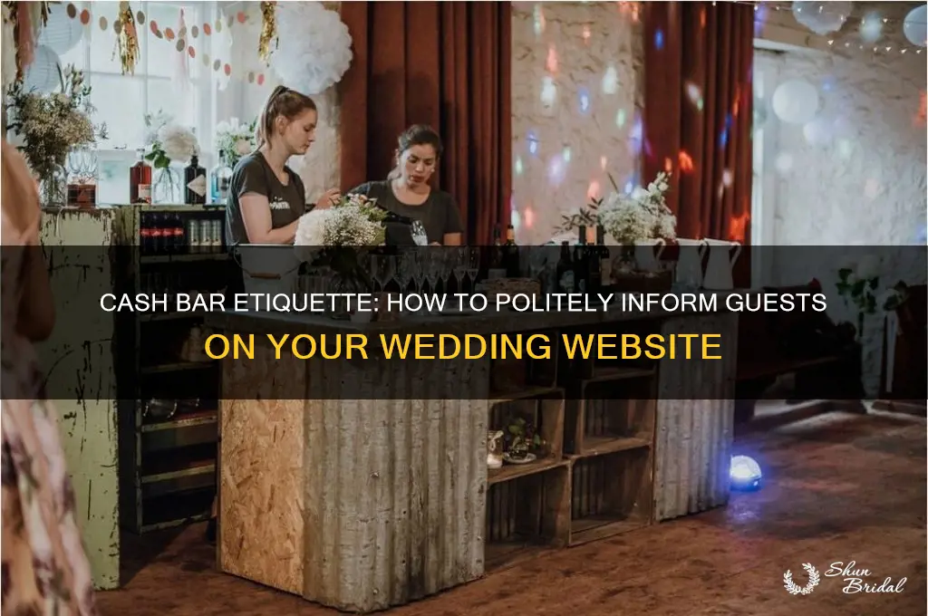 how to indicate cash bar on wedding website