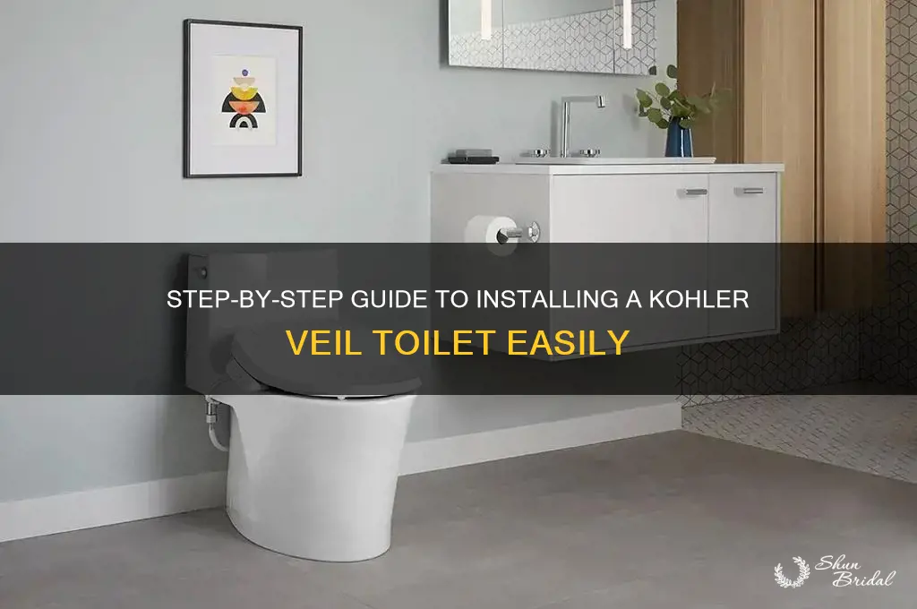 how to install a kohler veil toilet