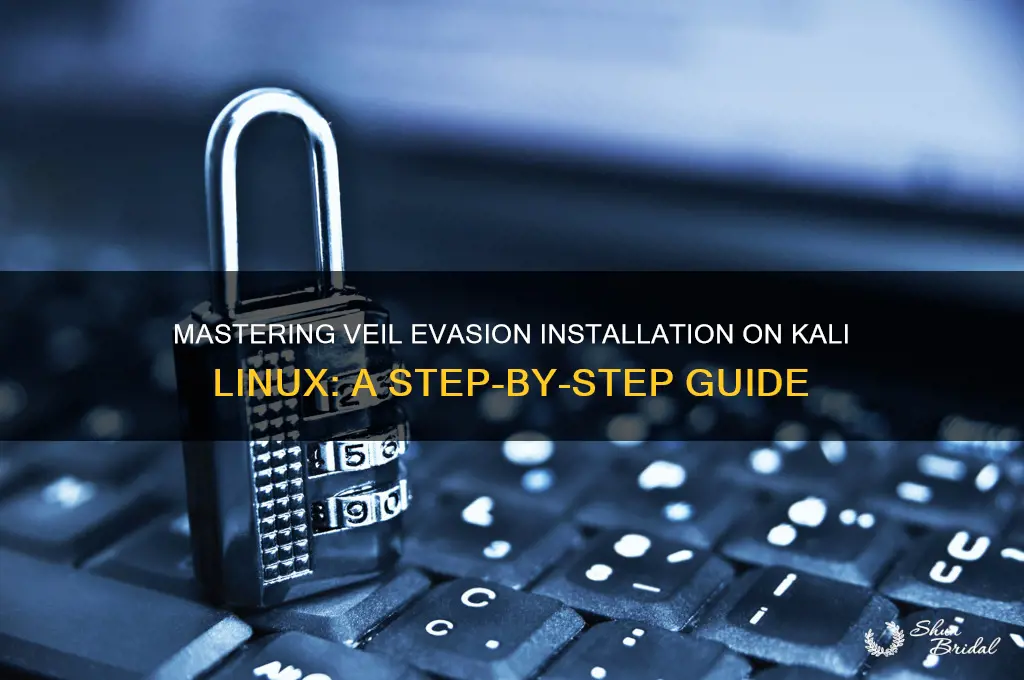 how to install veil evasion kali linux