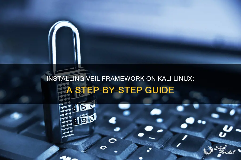 how to install veil framework in kali linux