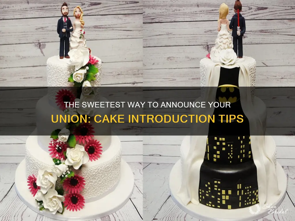 how to introduce a cake in a wedding ceremony