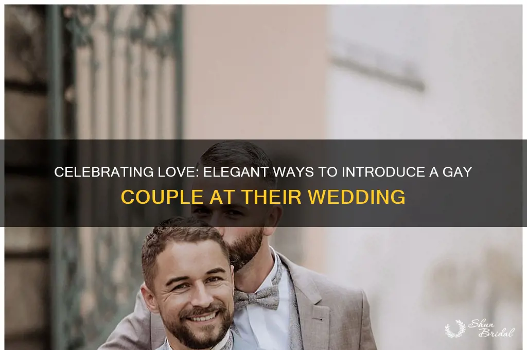 how to introduce a gay couple at their wedding