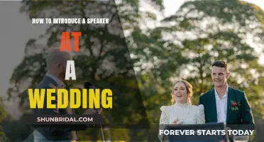 Mastering the Art of Introducing a Wedding Speaker with Grace