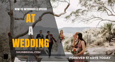Mastering the Art of Wedding Speeches: A Guide to Perfect Introductions