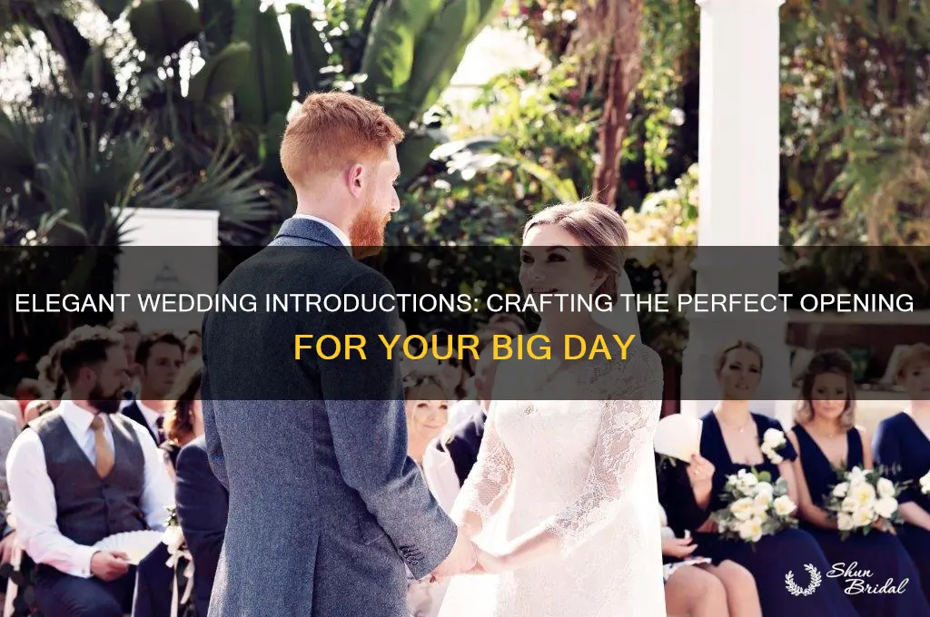 how to introduce a wedding