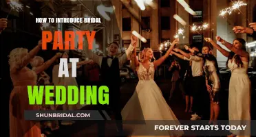 Elegant Bridal Party Introductions: Creative Ideas for a Memorable Wedding Entrance