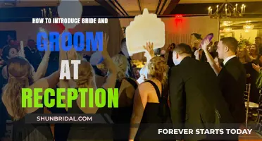 Elegant Introductions: A Guide to Presenting the Newlyweds at Your Reception