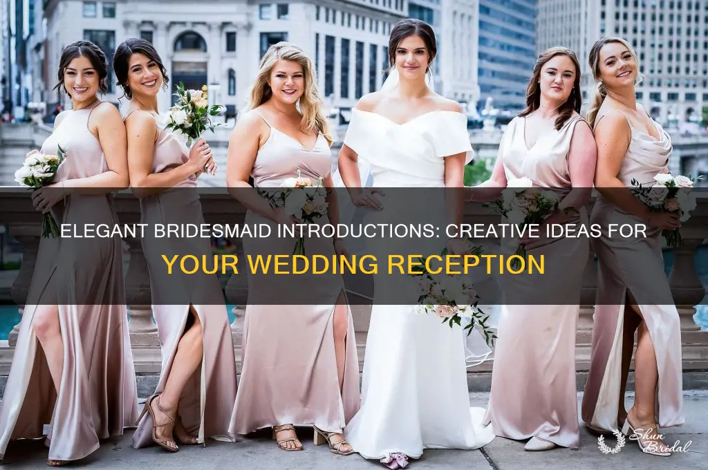 how to introduce bridesmaids at wedding