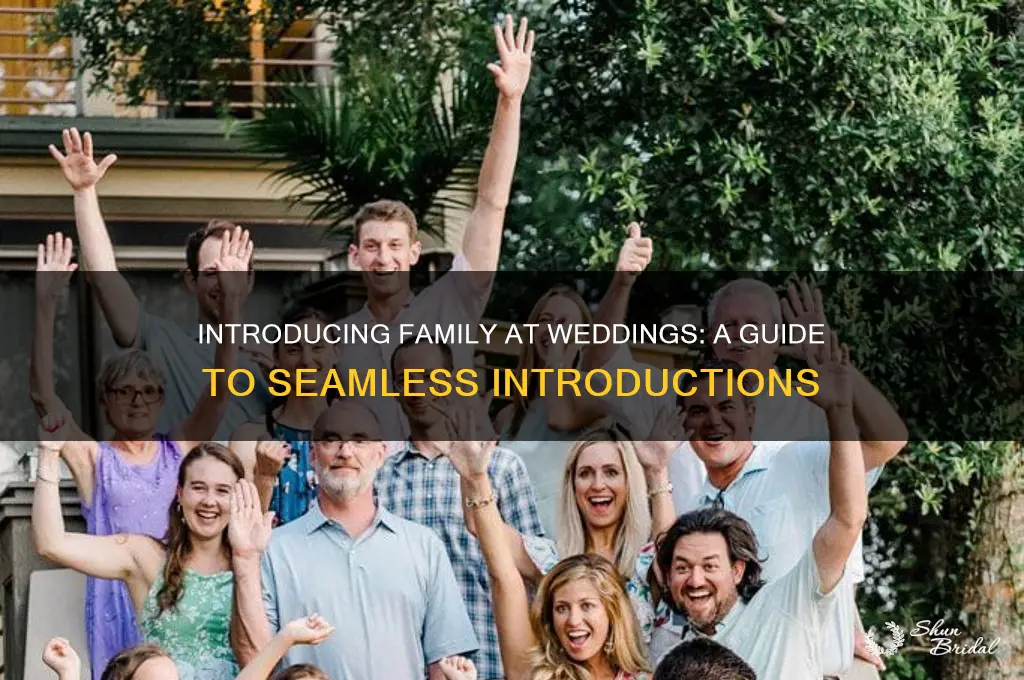 how to introduce family members at a wedding