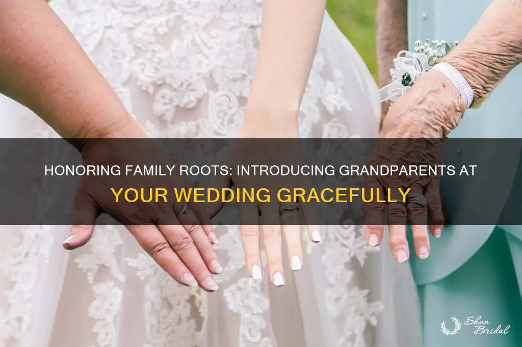 how to introduce grandparents at wedding